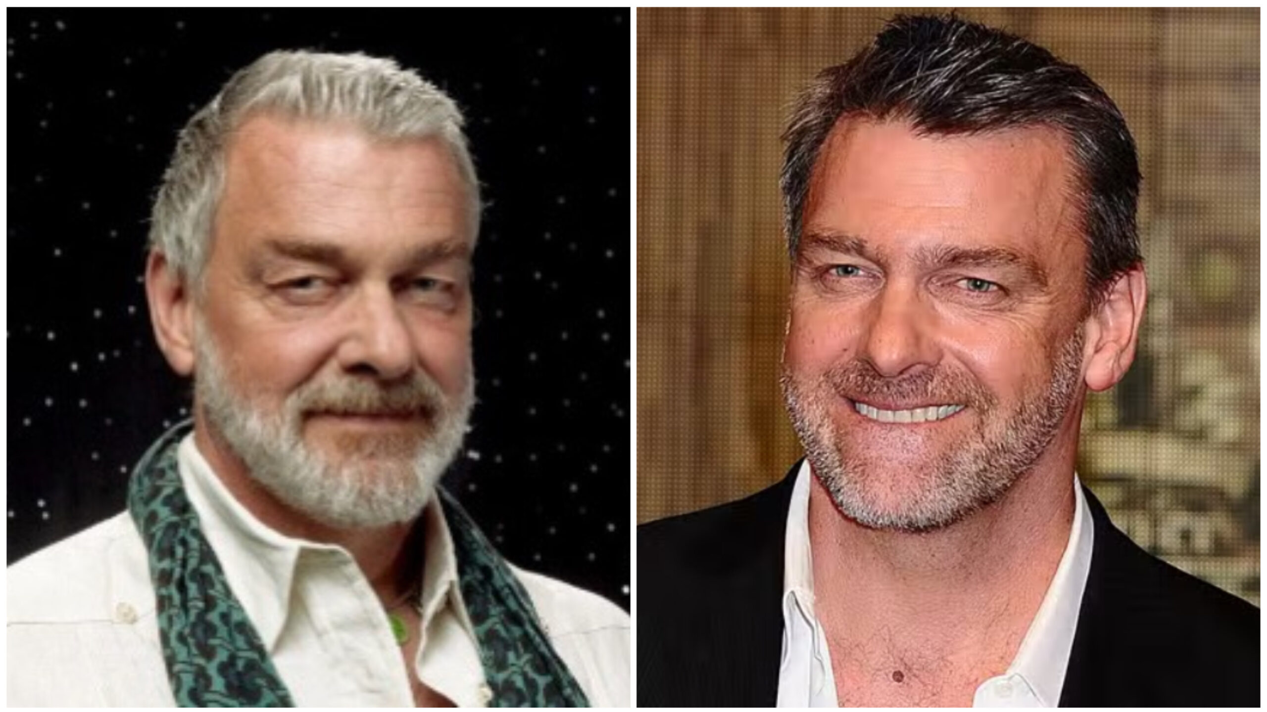Ray Stevenson Net Worth How Much Was He Worth? Hellovybes