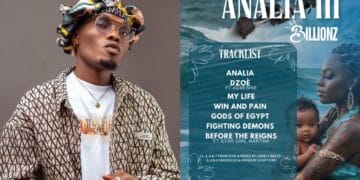 Billionz Takes Listeners on a Journey with New EP titled “ANALIA 111” featuring Agbeshie & others