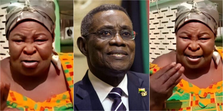 “Bury Me Beside Atta Mills" — Akua Donkor's Heartfelt Burial Wish Moves Ghanaians
