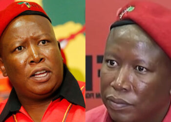 Julius Malema Says United Africa With Mineral Wealth Could Collapse the Dollar and Pound