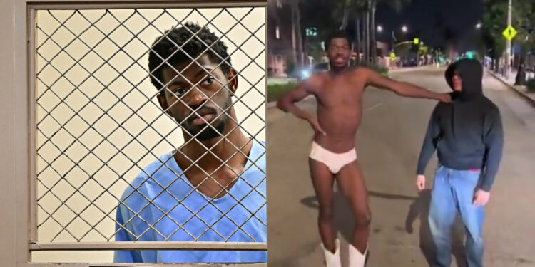 Full List of Felony Charges and Allegations Against Lil Nas X Explained