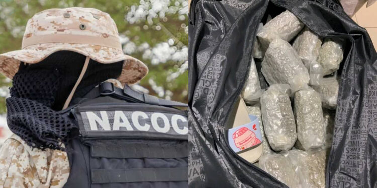 NACOC Intercepts Cocaine Concealed in Packaged Gari at Kotoka Airport as Brand Manager and Two Other Suspects Are Detained