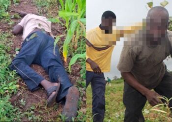 Police investigate a farm in Ghana's Oti Region after a suspected yam thief died in a shooting involving a farmer.