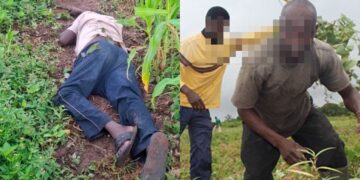Police investigate a farm in Ghana's Oti Region after a suspected yam thief died in a shooting involving a farmer.