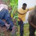 Police investigate a farm in Ghana's Oti Region after a suspected yam thief died in a shooting involving a farmer.